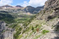 Glacier \'14-133.jpg