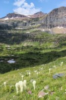 Glacier \'14-135.jpg