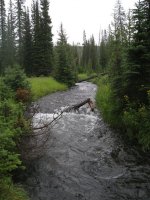 14700161510_b91b2b9446_b.jpg 14700161510_b91b2b9446_b.jpg