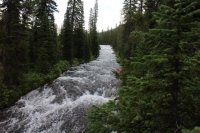 14886210085_a3ca3515fc_b.jpg 14886210085_a3ca3515fc_b.jpg