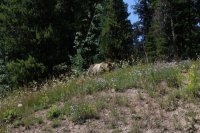 14699402748_158b57728c_b.jpg 14699402748_158b57728c_b.jpg