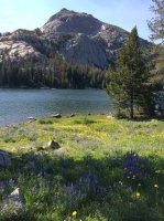 IMG_3511.jpg IMG_3511.jpg