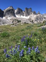 IMG_3541.jpg IMG_3541.jpg