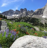 IMG_3559.jpg IMG_3559.jpg