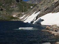 IMG_3569.jpg IMG_3569.jpg