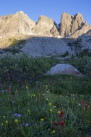 IMG_4666.jpg IMG_4666.jpg