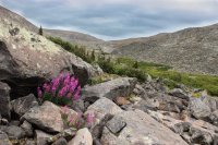 Tour 6-West Side-29.jpg