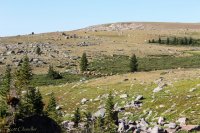 Tour 6-West Side-45.jpg