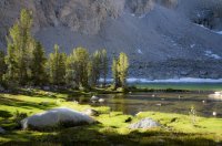 Perfect Serenity.jpg