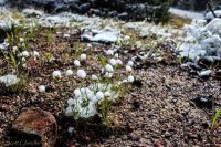 Tour 7-North End-29.jpg