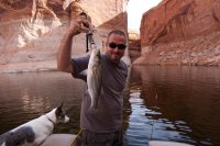 lake-powell-august-1.jpg lake-powell-august-1.jpg