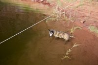lake-powell-august-32.jpg lake-powell-august-32.jpg
