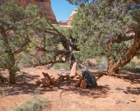 mazeCamp_1.jpg mazeCamp_1.jpg