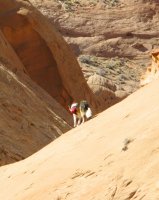 MerlinSteep_6.jpg MerlinSteep_6.jpg