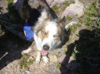 amethystTripReport_15.jpg amethystTripReport_15.jpg