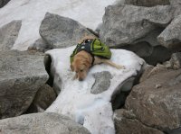 IMG_8858.JPG IMG_8858.JPG