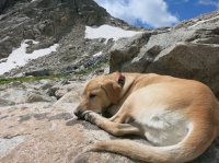 IMG_8987.JPG IMG_8987.JPG