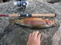 IMG_8966.JPG IMG_8966.JPG