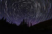 meadowstars.jpg meadowstars.jpg