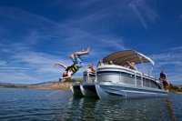 IMG_1556.jpg IMG_1556.jpg