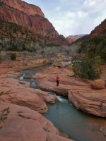 bS0241033.JPG bS0241033.JPG