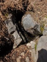 eS0913123.JPG eS0913123.JPG