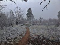 hazion 279.JPG hazion 279.JPG