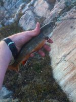 Sept pt1-4.jpg Sept pt1-4.jpg