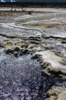 Sept pt1-24.jpg Sept pt1-24.jpg