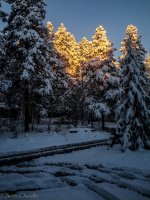 Sept pt1-41.jpg Sept pt1-41.jpg