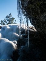 Sept pt1-48.jpg Sept pt1-48.jpg