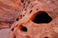 little-death-hollow-escalante-43.jpg