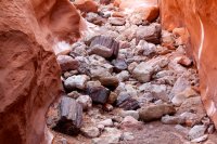 little-death-hollow-escalante-45.jpg