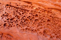 little-death-hollow-escalante-46.jpg