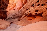 little-death-hollow-escalante-47.jpg