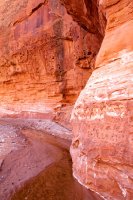 little-death-hollow-escalante-50.jpg