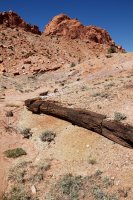 little-death-hollow-escalante-54.jpg