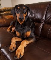 IMG_4999.jpg IMG_4999.jpg