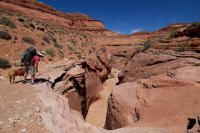 maidenwater-canyon-15.jpg