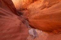 maidenwater-canyon-19.jpg
