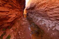 maidenwater-canyon-27.jpg