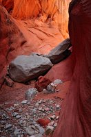 Maidenwater Canyon - Stones ME.jpg