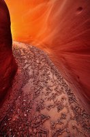 Maidenwater Canyon - Reflected light 1 ME.jpg