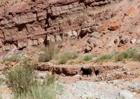 swett-creek-canyon-utah-07.jpg swett-creek-canyon-utah-07.jpg