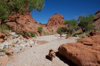 swett-creek-canyon-utah-08.jpg swett-creek-canyon-utah-08.jpg