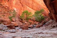 swett-creek-canyon-utah-10.jpg swett-creek-canyon-utah-10.jpg