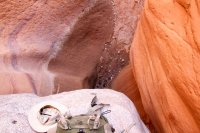 swett-creek-canyon-utah-14.jpg swett-creek-canyon-utah-14.jpg