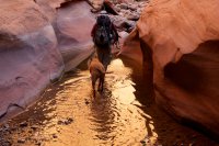 swett-creek-canyon-utah-20.jpg swett-creek-canyon-utah-20.jpg