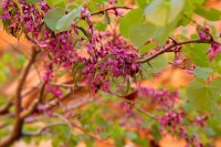 swett-creek-canyon-utah-21.jpg swett-creek-canyon-utah-21.jpg