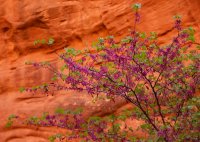 swett-creek-canyon-utah-22.jpg swett-creek-canyon-utah-22.jpg